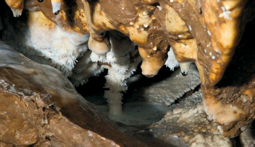 Hotel CROCUS **** Vysoké Tatry